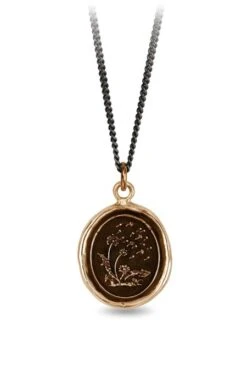 Pyrrha Seeds Of Success Talisman In Bronze 18″