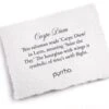Pyrrha Carpe Diem In Sterling Silver 18″ 2 Pyrrha Carpe Diem In Sterling Silver 18″ -Corkcicle Shop 2 46923.1699311654.1280.1280