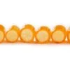 CandyLabs Orange Candy Tube