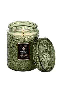 Voluspa Mini Glass Jar Candle In Temple Moss