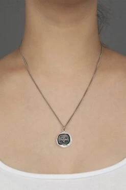 Pyrrha Carpe Diem In Sterling Silver 18″ -Corkcicle Shop 3 42917.1699311655.1280.1280