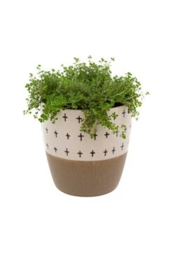 Indaba Doodle Pot In Taupe