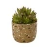 Indaba Speckle Pot In Olive -Corkcicle Shop f 1 34057.1651451846.1280.1280