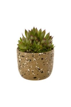 Indaba Speckle Pot In Olive